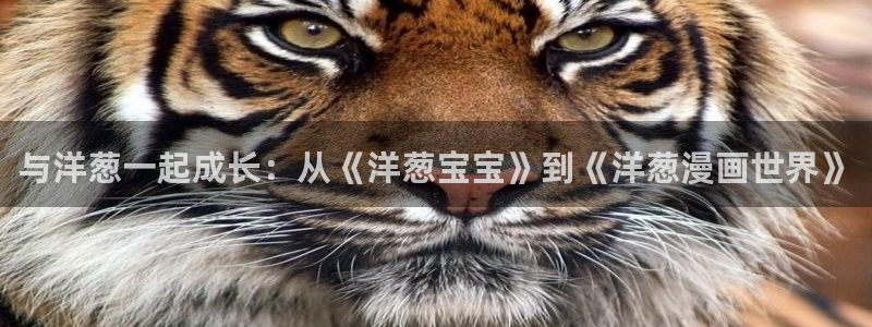 喵趣漫画官网版