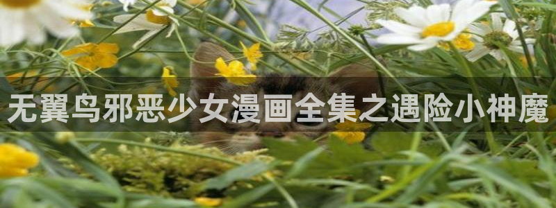 喵趣漫画最新版下