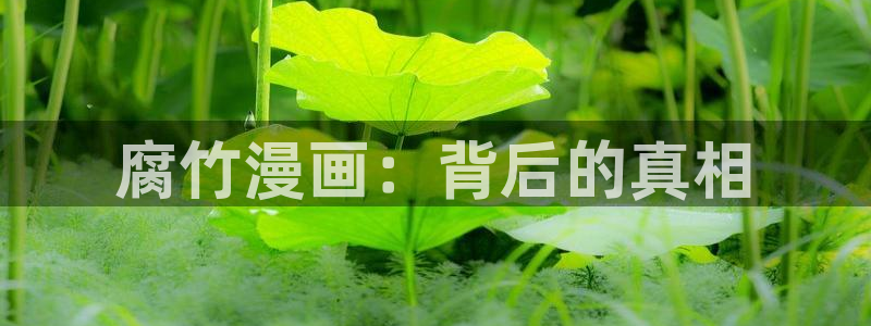 喵趣漫画.apk.1