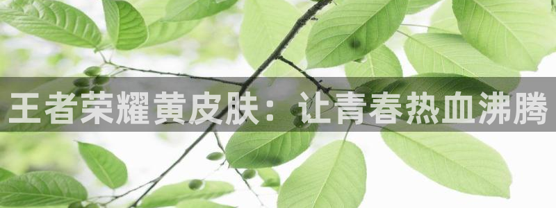 喵趣漫画在线看