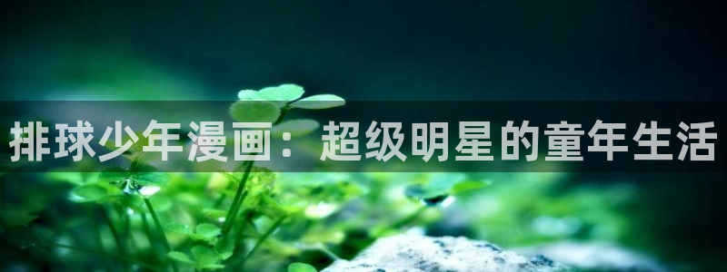 喵趣漫画2026复活版