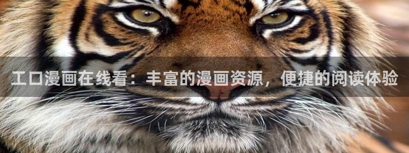喵趣漫画苹果版
